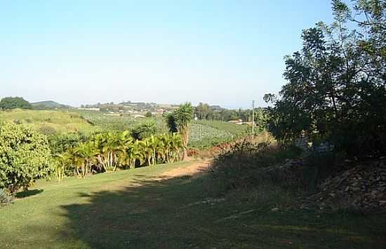 ZONA RURAL DE VALINHOS-FOTO:ENIOPRADO - VALINHOS - SP