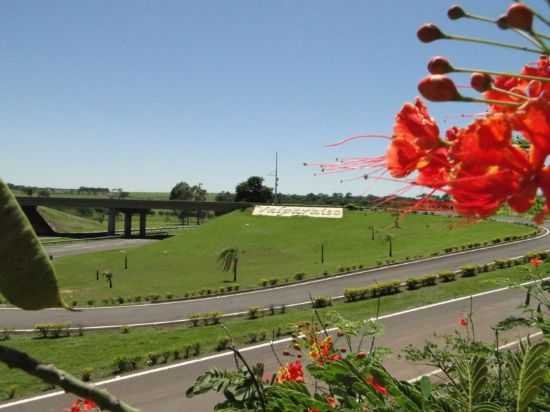 TREVO, POR MATEUS - VALPARASO - SP