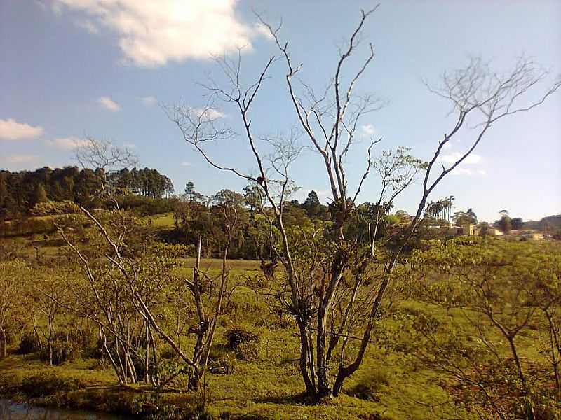 VARGEM GRANDE PAULISTA-SP-IMAGEM RURAL-FOTO:MURILO G. MUNHOZ  - VARGEM GRANDE PAULISTA - SP