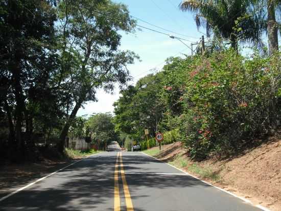RODOVIA DE ACESSO A VARPA - POR EDUARDO K IWASAKI, POR JORGE IWASAKI - VARPA - SP