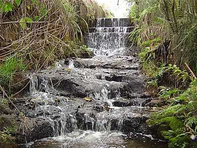 CACHOEIRA DO FRABETTI POR FRANCISCO CHRISTFOR... - VERA CRUZ - SP