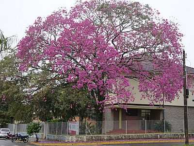 ESCOLA DIRCE BELLUZZO DE CAMPOS - VERA CRUZ - SP POR V.C. - VERA CRUZ - SP