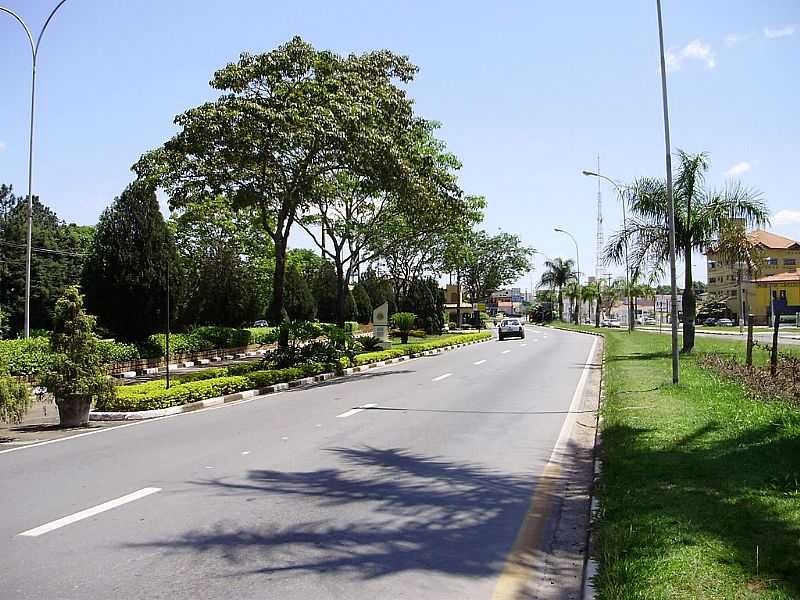 VINHEDO-SP-AVENIDA DE ENTRADA DA CIDADE-FOTO:CARLOS FANTE - VINHEDO - SP