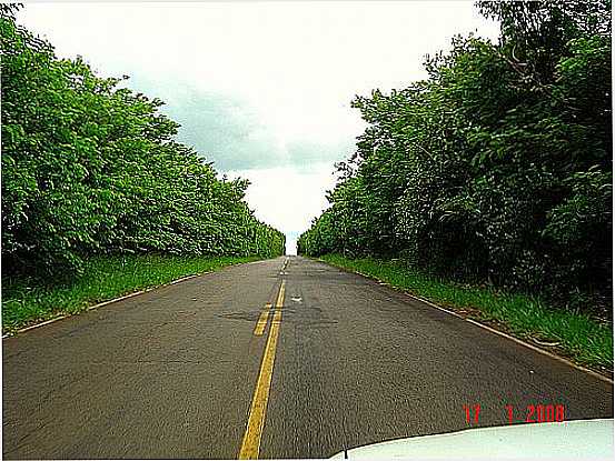 ESTRADA-FOTO:JOSE ROBERTO V. MORA  - VITORIANA - SP