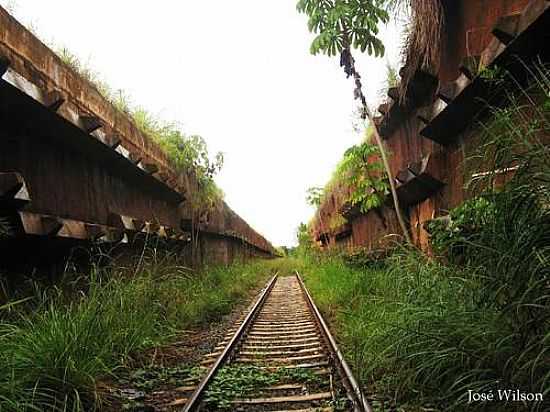 FERROVIA-FOTO:JOSE WILSON  - AGUIARNPOLIS - TO