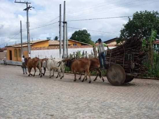 CARRO DE BOI, POR CASSIVALDO - RIO REAL - BA