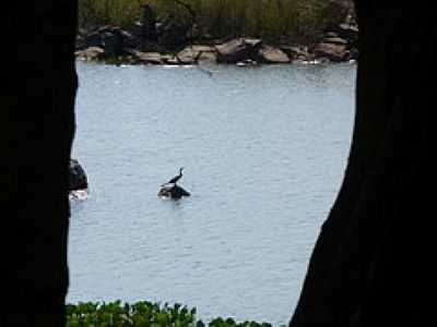 IMAGEM-FOTO:ISRAEL OLIVEIRA  - ARAGUACEMA - TO