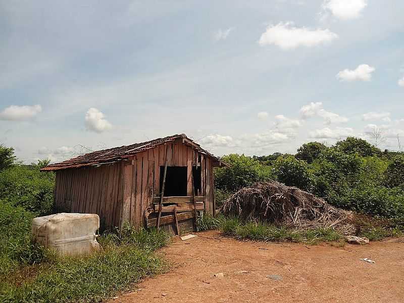 ARAPOEMA-TO-CURTUME-FOTO:LEOMAR FONTES - ARAPOEMA - TO