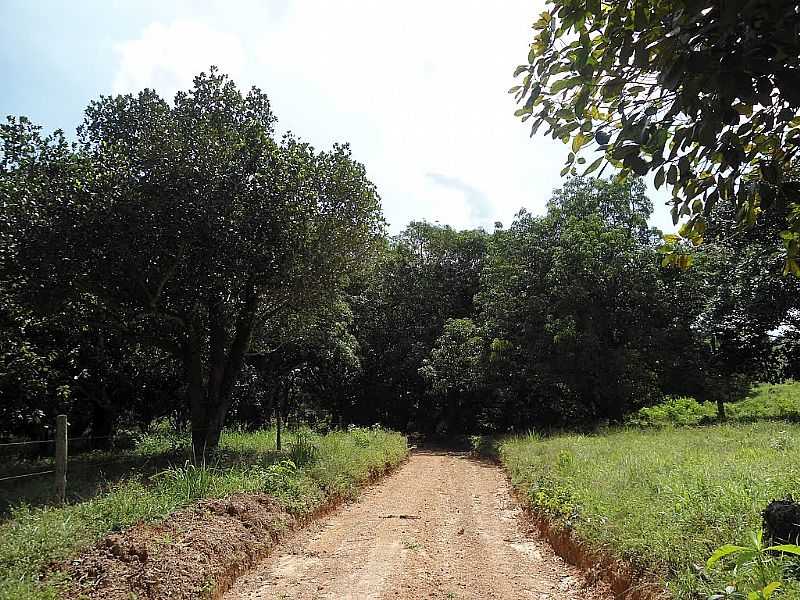 ARAPOEMA-TO-ESTRADA EM REA RURAL-FOTO:LEOMAR FONTES - ARAPOEMA - TO