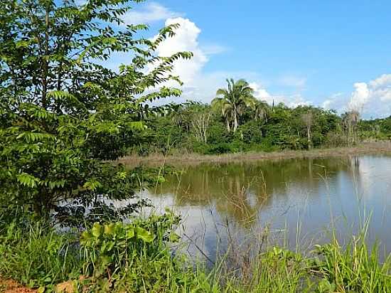 PAISAGEM E O RIO TOCANTINS EM BABAULNDIA-TO-FOTO:JANAINA CIRQUEIRA - BABAULNDIA - TO