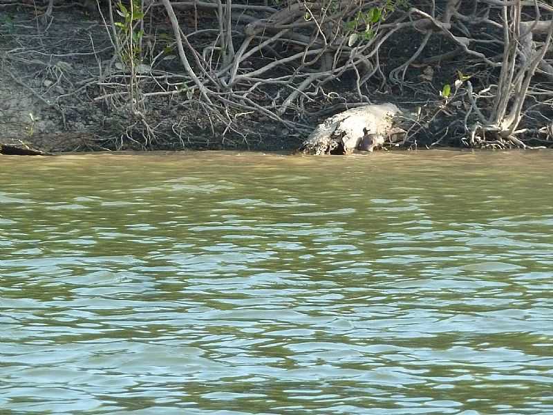 PARQUE ESTADUAL DO CANTO EM CASEARA - TO - CASEARA - TO