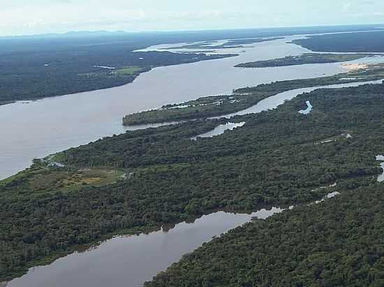 PARQUE ESTADUAL DO CANTO-FOTO:CERRADO - CASEARA - TO