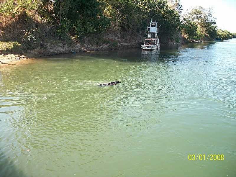 IPUEIRAS-TO-CACHORRO DGUA-FOTO:JOO REEDIJK - IPUEIRAS - TO