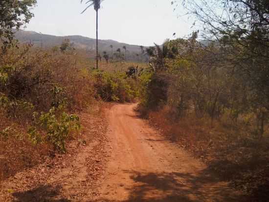 FAZENDA , POR LAIS GOMES - ITAPOR DO TOCANTINS - TO