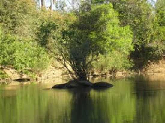 PAISAGEM DO RIO SANTA TEREZA-FOTO:RIOPRETO  - JA DO TOCANTINS - TO