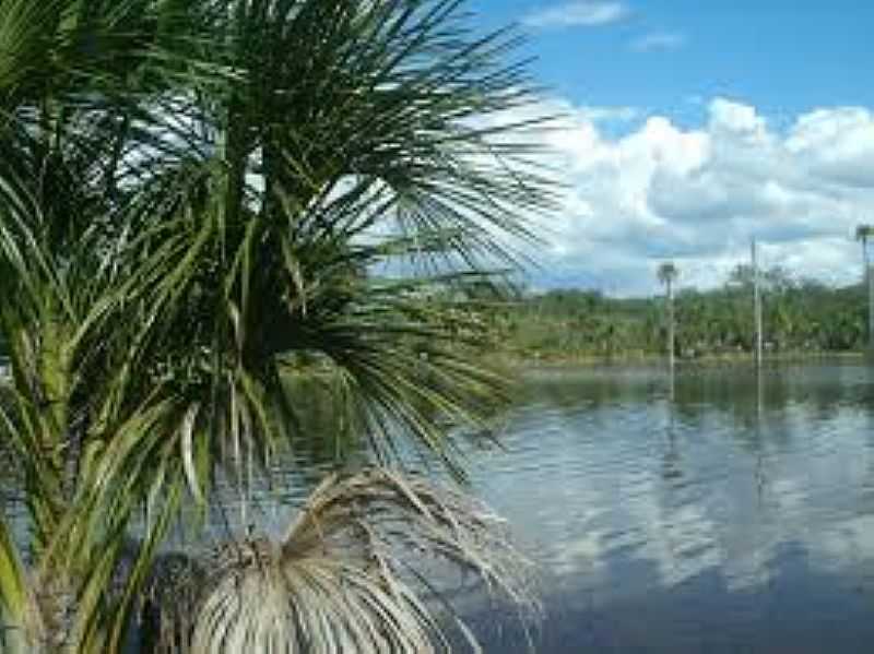 LAGOA DO TOCANTINS-TO-LAGO DO BALNERIO-FOTO:ANATUVIDA.BLOGSPOT.COM  - LAGOA DO TOCANTINS - TO
