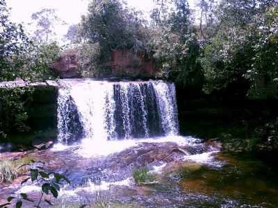 CACHOEIRA, POR RENATA ALVES - LIZARDA - TO