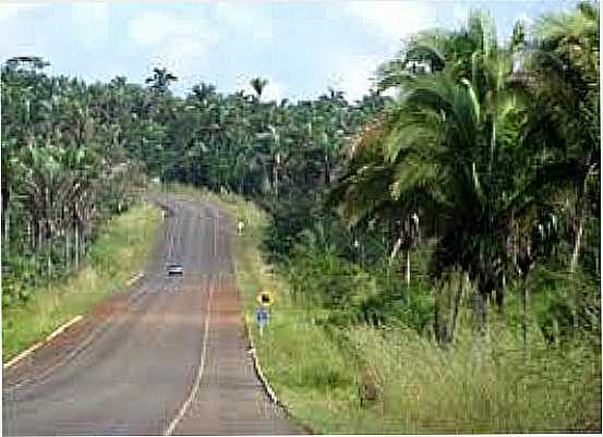 ESTRADA-FOTO:MABNACIONAL - MAURILNDIA DO TOCANTINS - TO