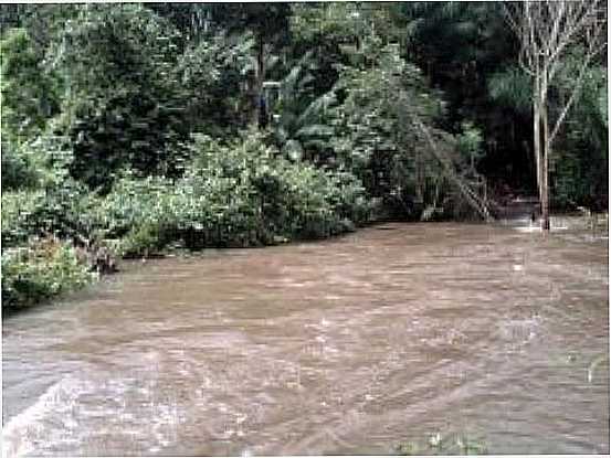 NATUREZA-FOTO:CITYBRASIL - MAURILNDIA DO TOCANTINS - TO