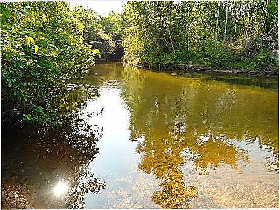MAURILNDIA DO TOCANTINS-TO-RIBEIRO BUTICA-FOTO:TOCNOTICIAS PORTAL DE NOTCIAS - MAURILNDIA DO TOCANTINS - TO