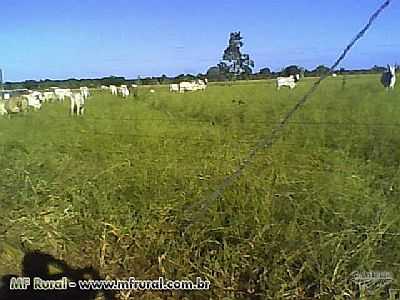 ZONA RURAL - MIRANORTE - TO