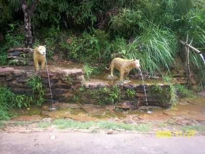 MATA FRIA, POR EDNA CALDEIRA SENA - MONTE DO CARMO - TO