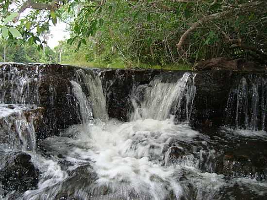 CACHEIRINHA-FOTO:CARLOS HAMILTON SANT  - MONTE LINDO - TO