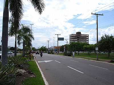 PALMAS FOTO SKYSCRAPERCITY. - PALMAS - TO