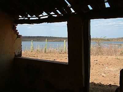 POR CLAUDIO LIMA (PANORAMIO) - PEQUIZEIRO - TO