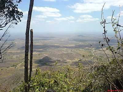 POR DESORDERBR (PANORAMIO) - PEQUIZEIRO - TO