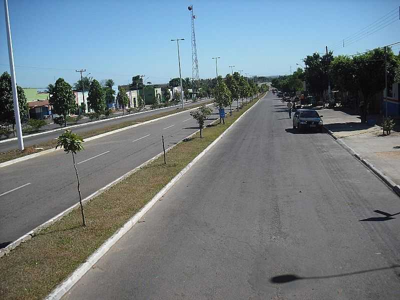 PEQUIZEIRO-TO-AVENIDA SALGADO FILHO-FOTO:LENNA BORGES - PEQUIZEIRO - TO