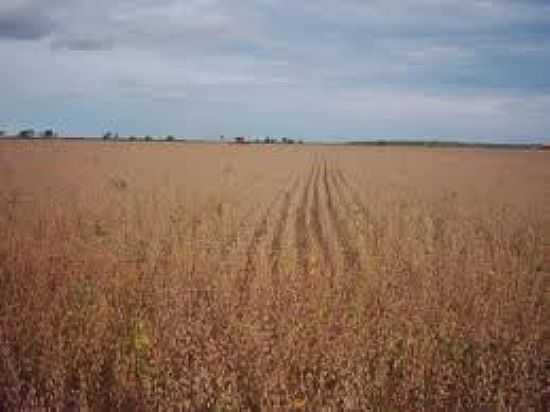 PLANTAO-FOTO:SANTAROSADOTOCANTINS - SANTA ROSA DO TOCANTINS - TO