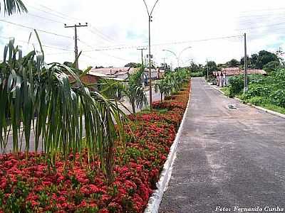 AVENIDA-FOTO:NANDO CUNHA - 1  - SO MIGUEL DO TOCANTINS - TO