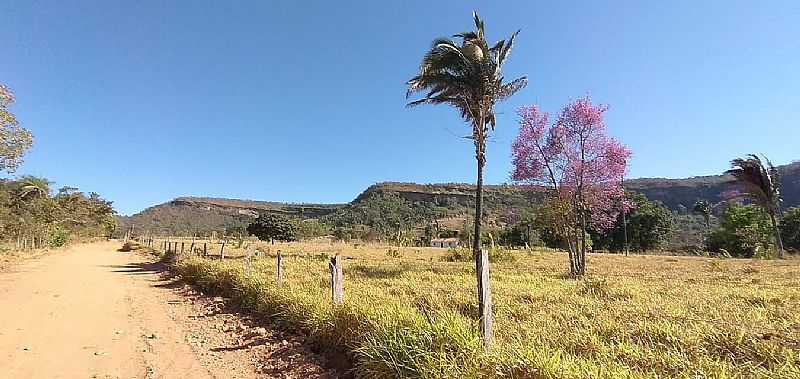 IMAGENS DA LOCALIDADE DE TAQUARUSSU DO TOCANTINS DISTRITO DE PALMAS - TO - TAQUARUSSU DO TOCANTINS - TO