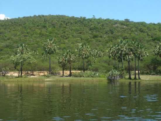 LATERAL DO ENCONTRO DOS RIOS PRETO E RIO GRANDE, POR MANOEL RIBEIRO DOS ANJOS - SANTA RITA DE CSSIA - BA