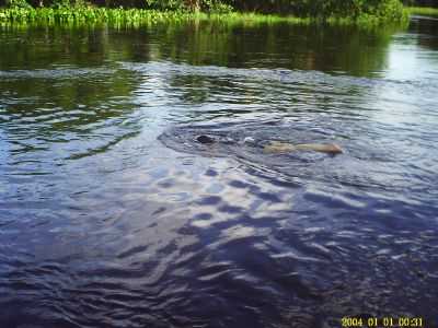 RIO DAS RANHAS, POR LU - SANTA RITA DE CSSIA - BA