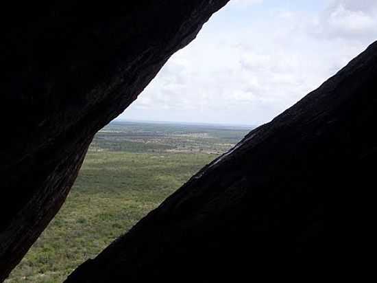 TOCA DA ONA NA SERRA DA CARACONHA EM SANTALUZ -BA-FOTOJORGE LN - SANTALUZ - BA