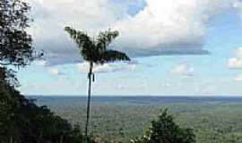 Mncio Lima - Parque Serra do Divisor-Foto:JEZAFLU=ACRE=BRASIL