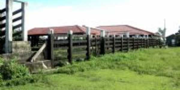 Fazenda, Por Roberto