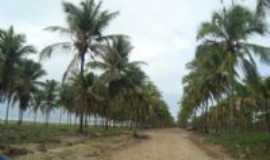 Porto de Galinhas - CAminho para Pontal de Maracape., Por Maria Santana Loyola