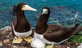 Abrolhos - Imagem da cidade de Abrolhos - BA