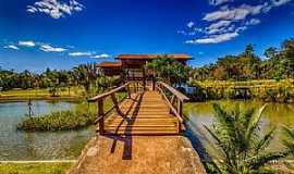 Jardim Botnico - Jardim Botnico-DF-Passarela no lago-Foto:queropassagem.com.br