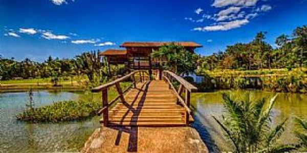 Jardim Botnico-DF-Passarela no lago-Foto:queropassagem.com.br