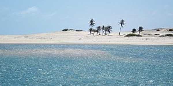 guas Belas(Praia)-CE-Coqueiros na praia-Foto:www.ceararotas.com.br