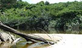 Reserva Xixua-Xiparin - Mata e o Rio Xixua em Reserva Xixua-Xiparin-AM-Foto:Mette Irene Andersen