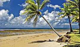Barra Grande - Barra Grande foto
por Auro Queiroz (Panoramio)