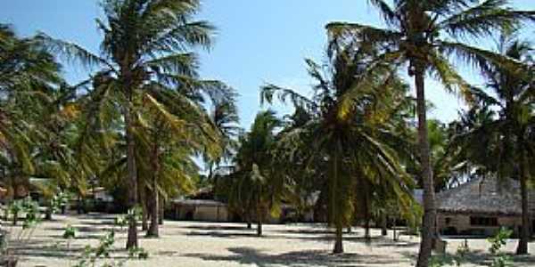 Barra Grande-PI-Coqueiros e chals na praia-Foto:Edilson Morais Brito