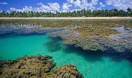 Praia Taipu de Fora - Taips de Fora-BA-Belezas da praia-Foto:www.praiabelladetaipus.com.br