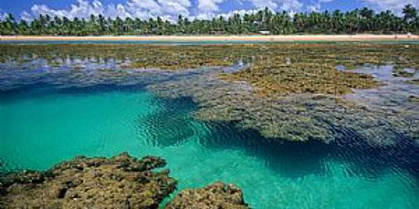 Taips de Fora-BA-Belezas da praia-Foto:www.praiabelladetaipus.com.br