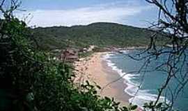 Praia do Pinho - Naturalista - Vista da Praia-Foto:turisnat.